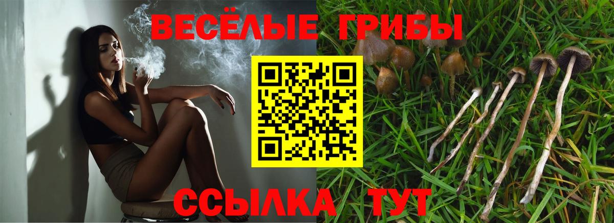 Нерюнгри  купить наркоту  Вход с VPN  Галлюциногенные грибы мицелий 