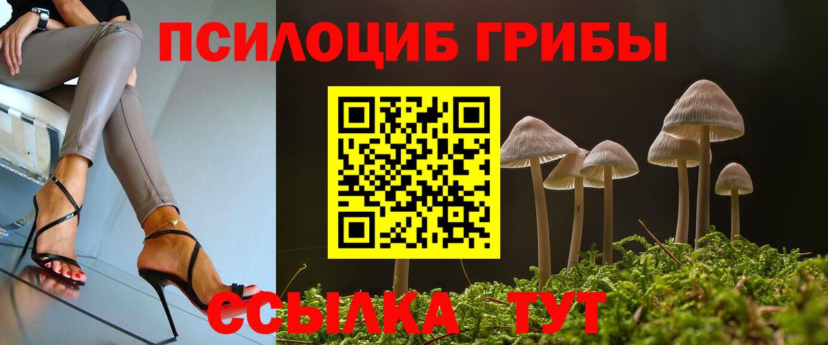 Галлюциногенные грибы Magic Shrooms Нерюнгри